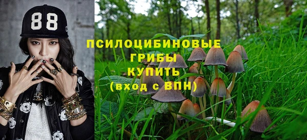 не бодяженный Богородск