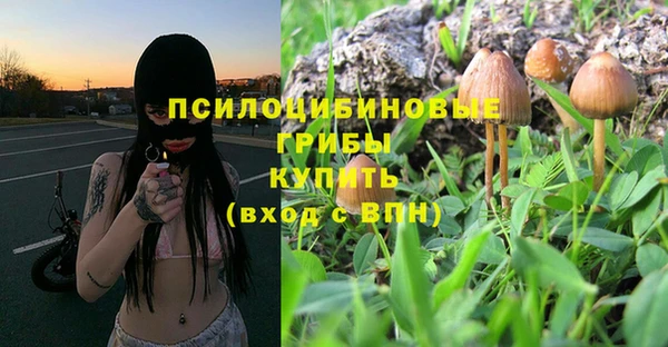 героин Богданович